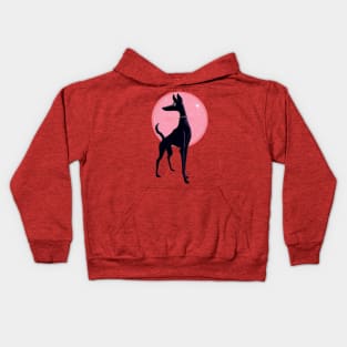 Posing greyhound in the limelight Kids Hoodie